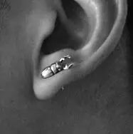 Scarab Beetle Earrings