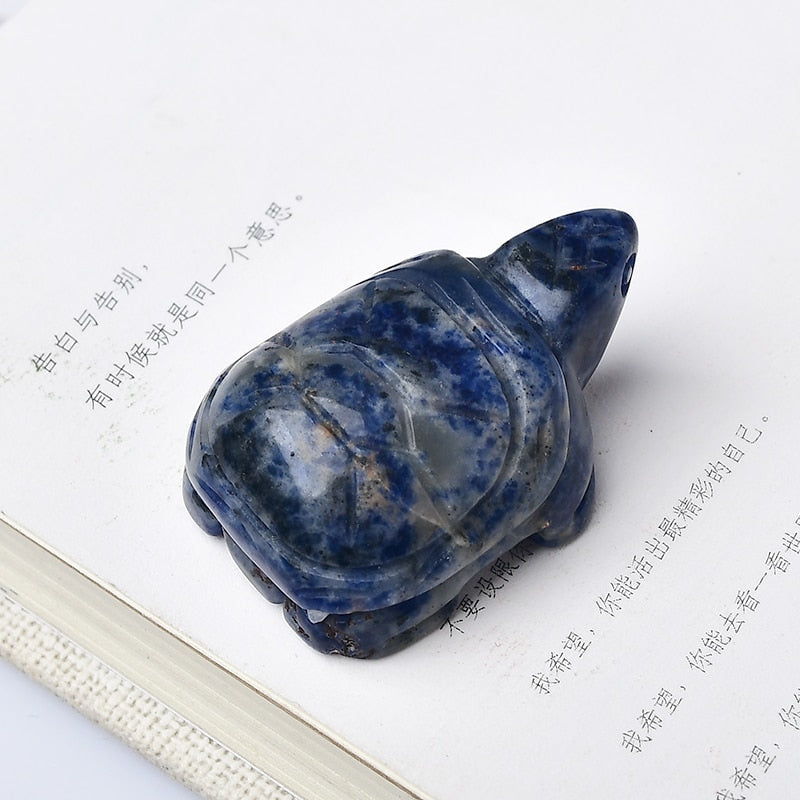 Sodalite | Crystal Tortoise