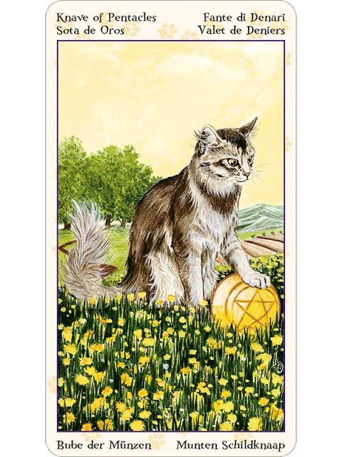 Tarot of Pagan Cats | Magdelina Messina