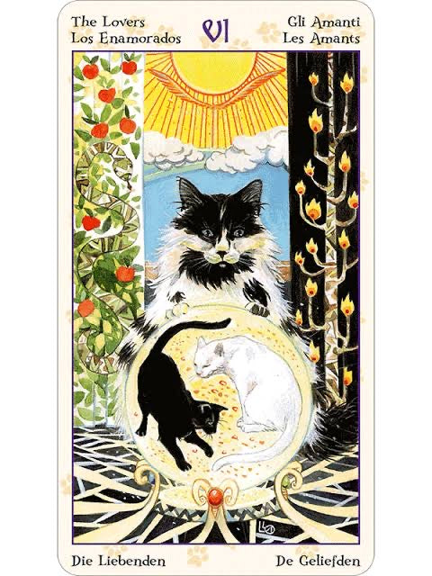 Tarot of Pagan Cats | Magdelina Messina