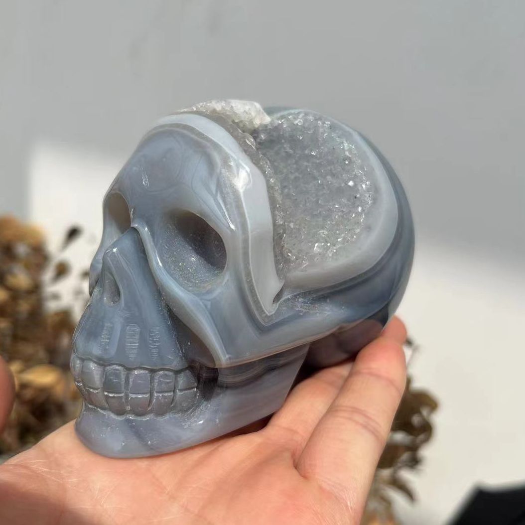 Druzy Agate Skull | Crystal