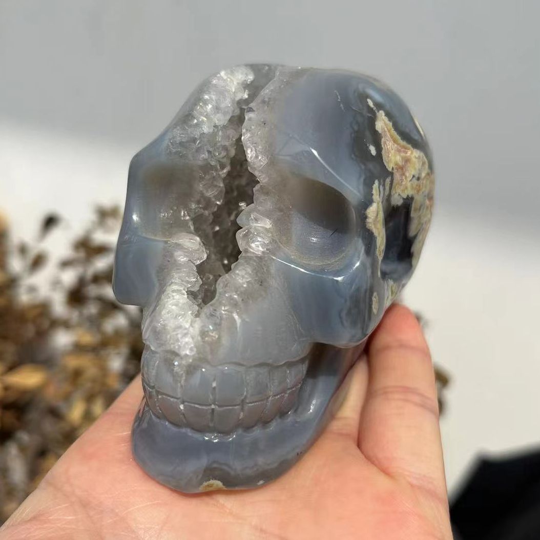 Druzy Agate Skull | Crystal