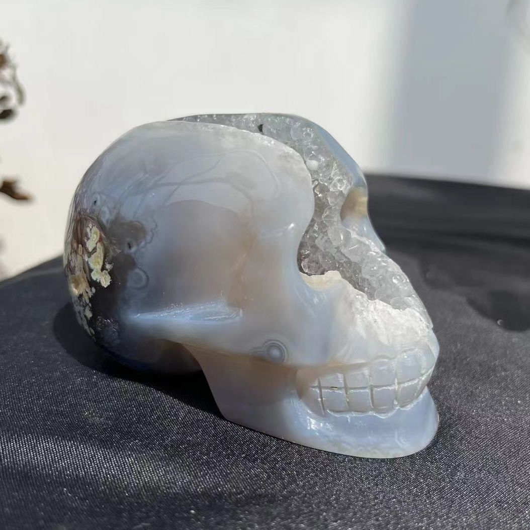 Druzy Agate Skull | Crystal