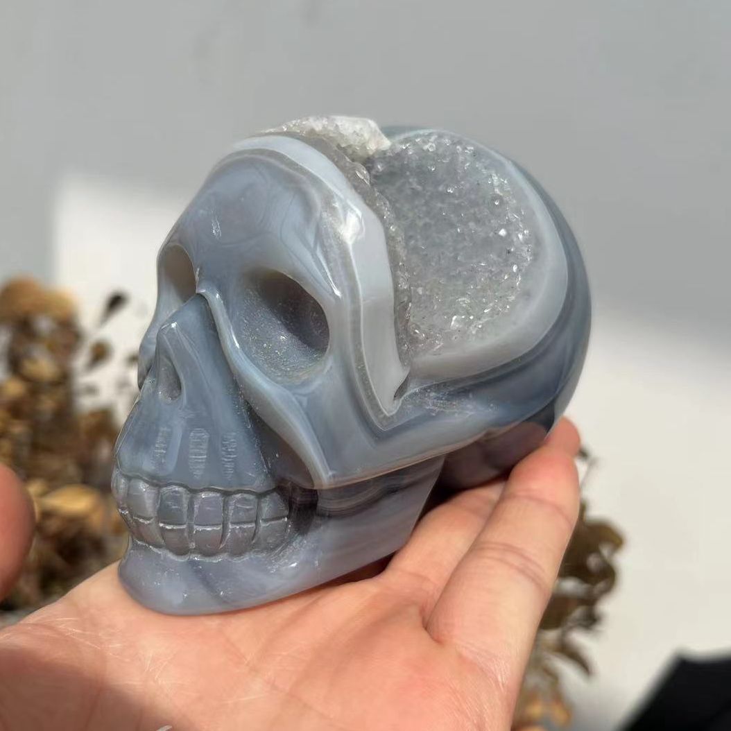 Druzy Agate Skull | Crystal