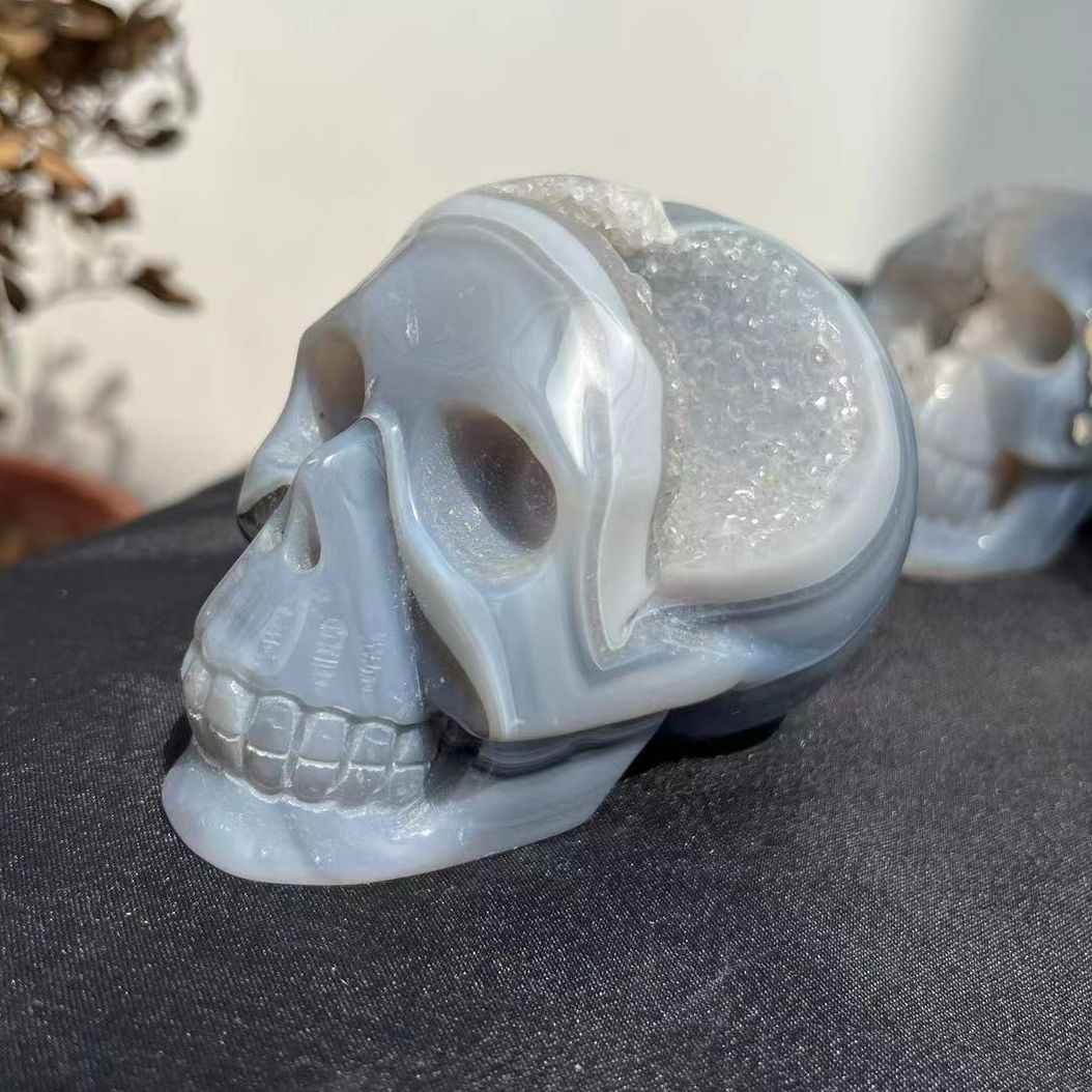 Druzy Agate Skull | Crystal